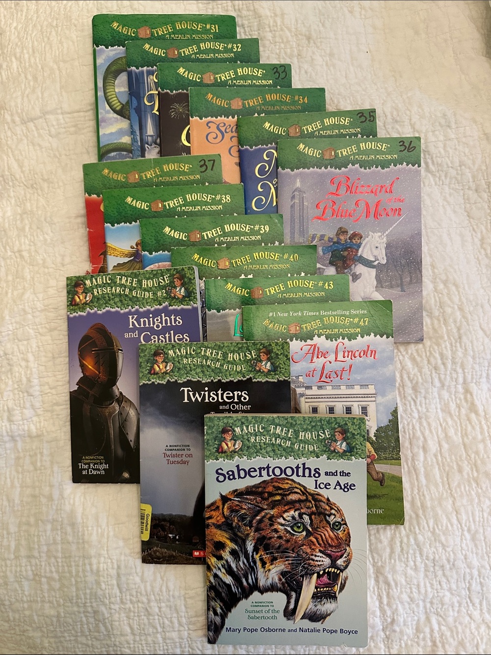Set of 15 Magic Tree House Books